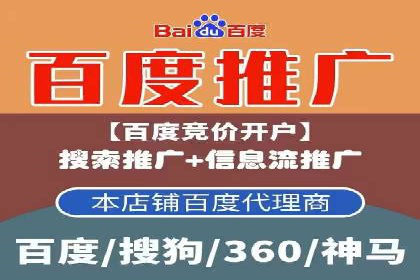 竞价广告的胜利者：某公司如何借助竞价推广公司实现业绩突破